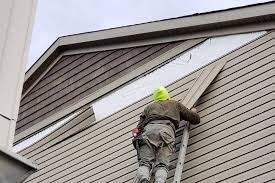 Best Vinyl Siding Installation  in High Point, FL